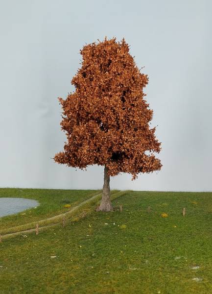 Plane tree late fall Profi